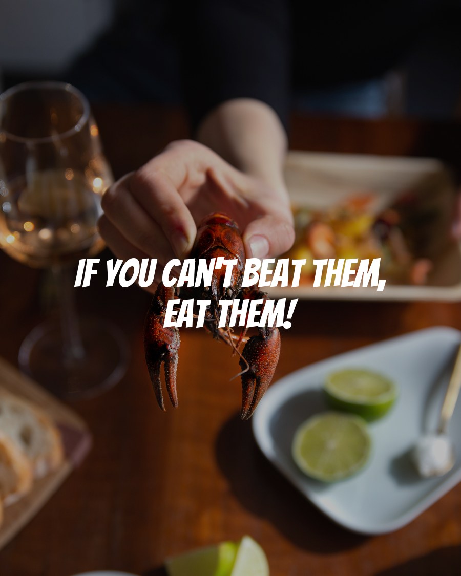 HOLYCRAB! Biodiversity Startup